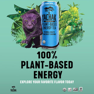 Yachak Organic Yerba Mate Berry Blue Plant-Based Energy, Non-GMO Project Certified, Gluten Free Fair-Trade Caffeinated Green Tea (Case of 12) 16oz Can