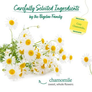 Bigelow Tea Herbal Kosher Cozy Chamomile Premium Gluten-Free, GMO-Free, Caffeine-Free Herbal Tea (Case of 6) 20 Tea Bag