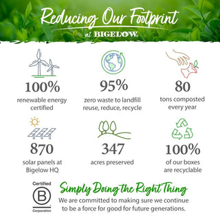 Bigelow Tea Herbal Kosher Cozy Chamomile Premium Gluten-Free, GMO-Free, Caffeine-Free Herbal Tea (Case of 6) 20 Tea Bag