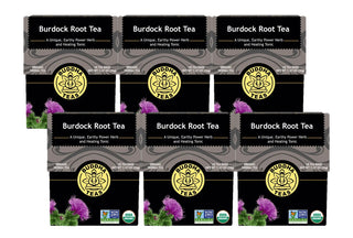 Buddha Teas Organic Herbal Kosher Burdock Root GMO-Free, Blend Caffeine-Free  Herbal Tea (Case of 6) 18 Tea Bags