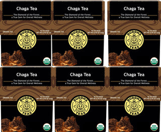 Buddha Teas - Organic Herbal Kosher, Chaga Mushroom Dairy-Free, GMO-Free, Wheat-Free, Yeast-Free Herbal Mushroom Tea (Case of 6) 18 Tea Bags