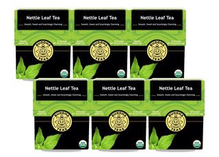 Buddha Teas Organic Herbal Kosher Nettle Leaf, GMO-Free, Caffeine Herbal Tea (Case of 6) 18 Tea Bags