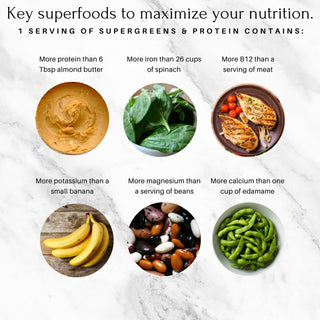 Sunfood Superfood Organic Super Greens Powder, Organic Green Juice/Smoothie Mix w/Digestive Enzymes Probiotic for Gut Health, Good Source of Liquid Chlorophyll, Spirulina Chlorella Superfood Mix (Pack of 1) 8oz Bag