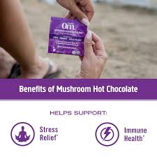 OM MUSHROOM SUPERFOOD USDA Organic, Kosher Hot Chocolate Functional Mushroom Blend w/Lion's Mane, Reishi, Chaga, Turkey Tail & Ashwagandha, Dutch Cocoa, Vegan Non-GMO, Gluten-Free "Focus and Stress Support" Superfood Mix (Pack of 1) 8.47oz Canister