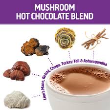 OM MUSHROOM SUPERFOOD USDA Organic, Kosher Hot Chocolate Functional Mushroom Blend w/Lion's Mane, Reishi, Chaga, Turkey Tail & Ashwagandha, Dutch Cocoa, Vegan Non-GMO, Gluten-Free "Focus and Stress Support" Superfood Mix (Pack of 1) 8.47oz Canister