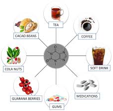 Supplement