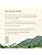 Yogi Organic Herbal Kosher Detox Peach w/Herbal Supplements, Ginger Root, Dandelion Root, Long Pepper Berry, Black Pepper, Peach Flavor, Fo-Ti Root, GMO-Free, Vegan, Caffeine-Free Green Tea (Case of 6) 16 Tea Bags