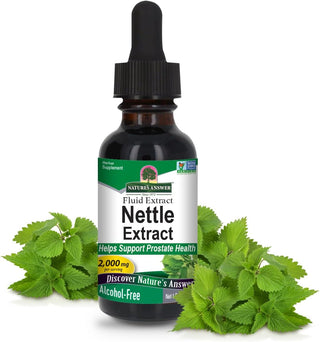 Nature's Answer Organic Kosher Herbal Supplement Nettle Extract AF-2000mg, Prostate Support, Concentrated Dark Green Nettle Leaf, Gluten-Free, Alcohol-Free, Non-GMO, Dietary Supplement Extract (Pack of 1) 1oz Bottle