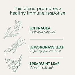 Traditional Medicinals Organic Herbal Kosher w/Herbal Supplements, Echinacea Plus GMO-Free, Naturally Caffeine-Free Herbal Tea (Case of 6) 16 Tea Bags