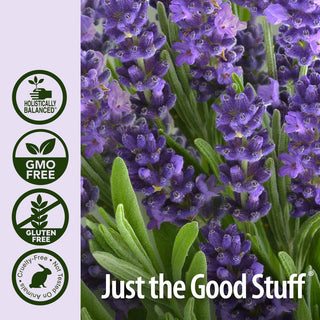 Nature's Answer Organic Lavender, Distilled From Exotic Plants, Herbals, Flowers, Leaves, Roots, & Fruits, 100% Pure w/No Synthetic Colors or Stabilizers, Gluten-Free, non-GMO, Yeast-Free, Essential Oil (Pack of 1) 0.5oz. Bottle