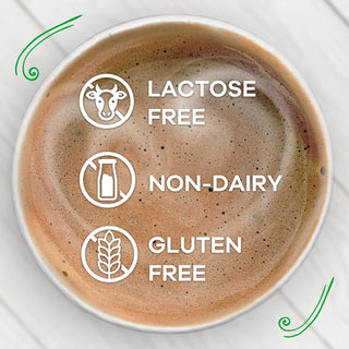 Nestle Coffee Mate French Vanilla, Sugar-Free, Plant-Based, Gluten-Free, Lactose-Free, Non-Dairy, Powdered Coffee Creamer (Pack of 1) 10.2 oz Canister