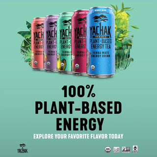 Yachak Organic Yerba Mate Berry Red Plant-Based Energy w/Cranberry Juice Concentrate, Maltodextrin, Citric Acid, Non-GMO Project Certified, Gluten Free Fair-Trade Caffeinated Green Tea (Case of 12) 16oz Cans