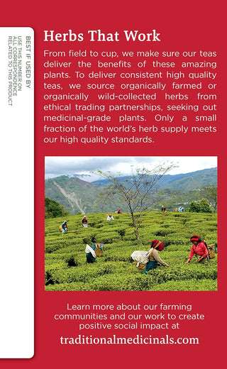 Traditional Medicinals Organic Herbal Kosher w/Herbal Supplements, Echinacea Plus GMO-Free, Naturally Caffeine-Free Herbal Tea (Case of 6) 16 Tea Bags