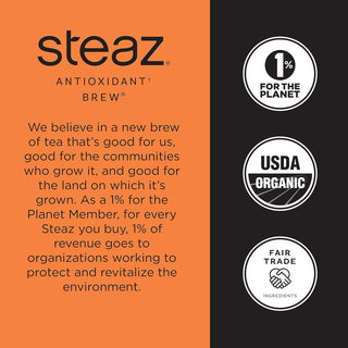 Steaz Organic Kosher Yerba Mate Peach Please w/Toasted Yerba Mate Leaf, Cane Sugar, Acerola Cherry Extract Tea (Case of 12)16 Fz Can