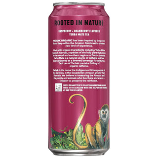 Yachak Organic Yerba Mate Berry Red Plant-Based Energy w/Cranberry Juice Concentrate, Maltodextrin, Citric Acid, Non-GMO Project Certified, Gluten Free Fair-Trade Caffeinated Green Tea (Case of 12) 16oz Cans
