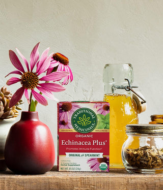 Traditional Medicinals Organic Herbal Kosher w/Herbal Supplements, Echinacea Plus GMO-Free, Naturally Caffeine-Free Herbal Tea (Case of 6) 16 Tea Bags