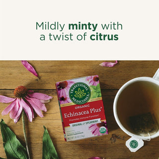 Traditional Medicinals Organic Herbal Kosher w/Herbal Supplements, Echinacea Plus GMO-Free, Naturally Caffeine-Free Herbal Tea (Case of 6) 16 Tea Bags