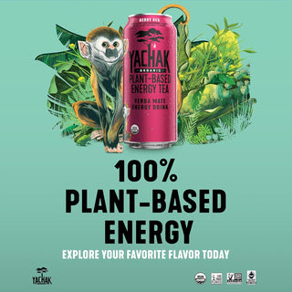 Yachak Organic Yerba Mate Berry Red Plant-Based Energy w/Cranberry Juice Concentrate, Maltodextrin, Citric Acid, Non-GMO Project Certified, Gluten Free Fair-Trade Caffeinated Green Tea (Case of 12) 16oz Cans
