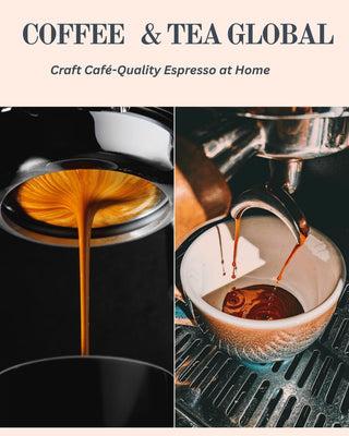 premium-coffee-tea-brewing-essentials-catg.webp | coffee beans | buy coffee online | USA online coffee | esprsso coffee | coffee machine | buy now |