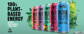 Yachak Organic Yerba Mate Blackberry Plant-Based Energy w/Yerba Mate Extract, Cane Sugar, Passionfruit Concentrate, Non-GMO Project Certified, Gluten Free Fair-Trade Caffeinated Green Tea (Case of 12)16oz Cans